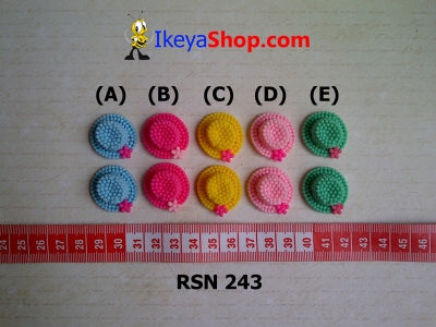 rsn 243  large2